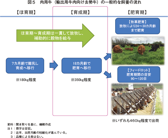 畜産の情報－海外情報 アルゼンチンの牛肉生産・輸出の現状と